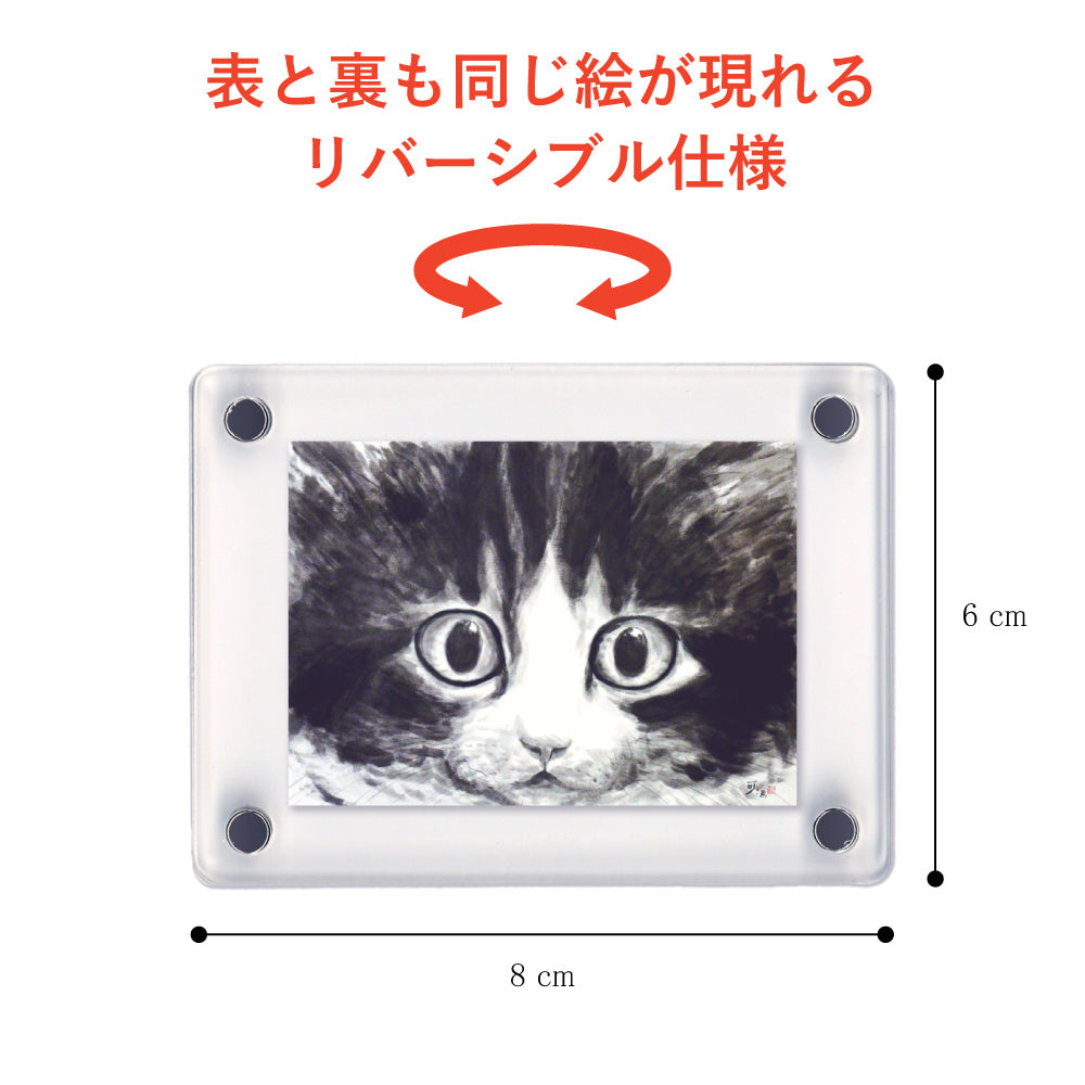 Acrylic Magnet Frame, Minoru Nakahama "Eyeball," Set of 2, 6x8cm, Ink Wash Cat Artist
