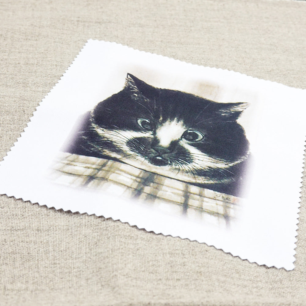 クリーニングクロス 中浜稔「サンマ」メガネ拭き レンズクリーナー 猫墨絵作家 眼鏡用品