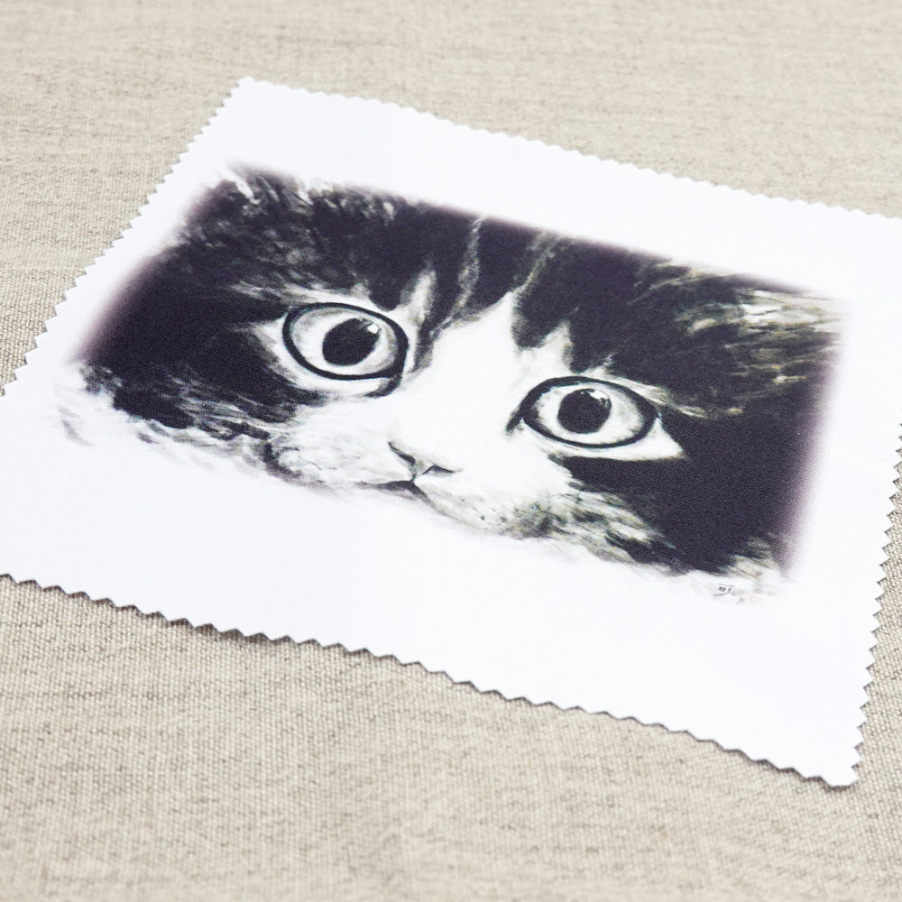 クリーニングクロス 中浜稔「目玉」メガネ拭き レンズクリーナー 猫墨絵作家 眼鏡用品
