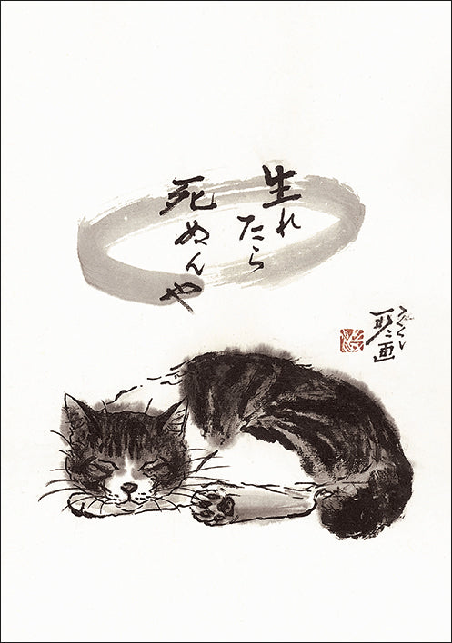 ポストカード6枚セット4 中浜稔 105×150mm 猫墨絵作家 アート 動物 淡路市立中浜稔猫美術館