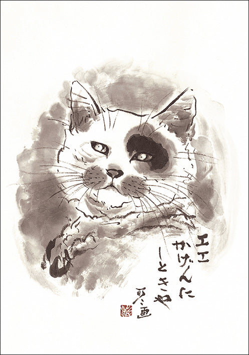 ポストカード6枚セット4 中浜稔 105×150mm 猫墨絵作家 アート 動物 淡路市立中浜稔猫美術館