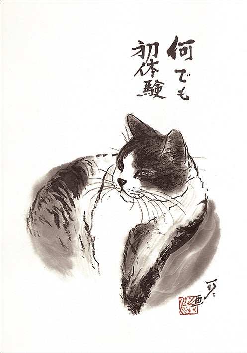 ポストカード6枚セット5 中浜稔 105×150mm 猫墨絵作家 アート 動物 淡路市立中浜稔猫美術館