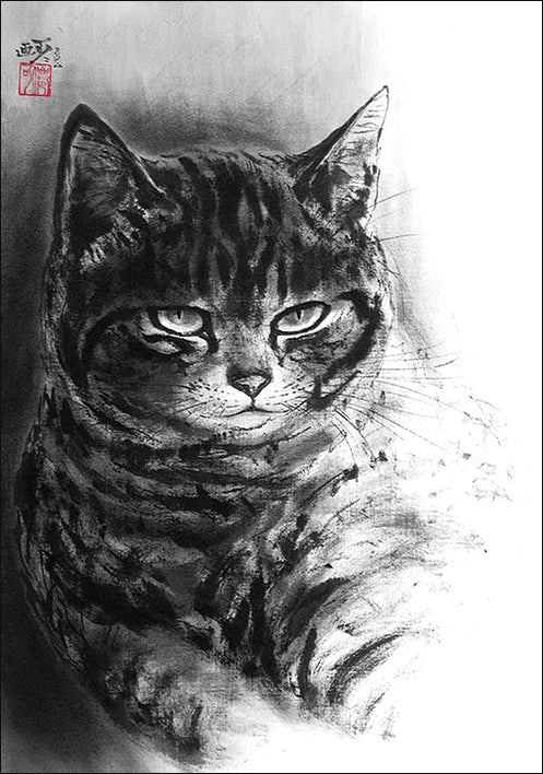 ポストカード6枚セット7 中浜稔 105×150mm 猫墨絵作家 アート 動物 淡路市立中浜稔猫美術館