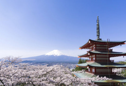 ポストカード 日本風景「五重の塔と富士山」105×150mm カラー写真 観光内 名所 郵便はがき