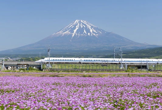 ポストカード 日本風景「新幹線と富士山」105×150mm カラー写真 観光内 名所 郵便はがき