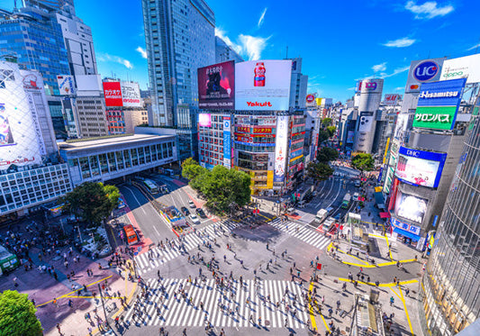 ポストカード 日本風景「渋谷のスクランブル交差点」105×150mm カラー写真 観光内 名所 郵便はがき