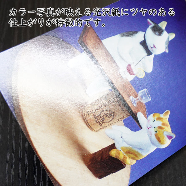 ポストカード 高橋理佐/猫粘土作家「カウ・ンターバー」105×150mm 動物 カラー写真