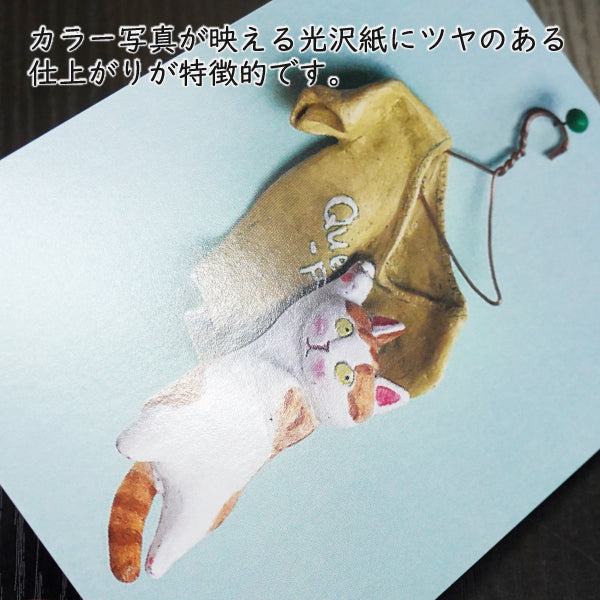 ポストカード 高橋理佐/猫粘土作家「ひっかけ問題」105×150mm 動物 カラー写真