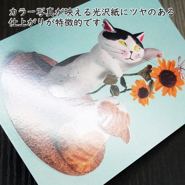 ポストカード 高橋理佐/猫粘土作家「ガンバれバンカ( 晩夏 )」105×150mm 動物 カラー写真