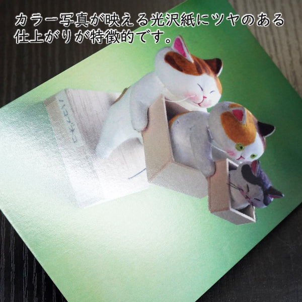 ポストカード 高橋理佐/猫粘土作家「ハコぶネコ」105×150mm 動物 カラー写真