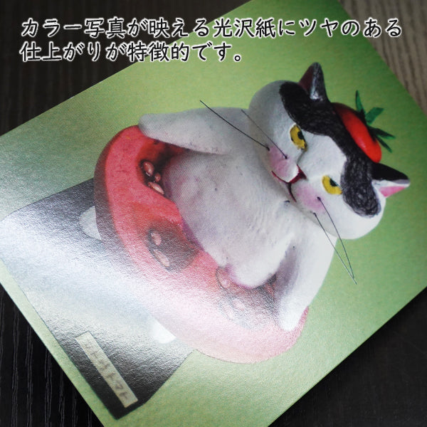 ポストカード 高橋理佐/猫粘土作家「トマトまとう」105×150mm 動物 カラー写真