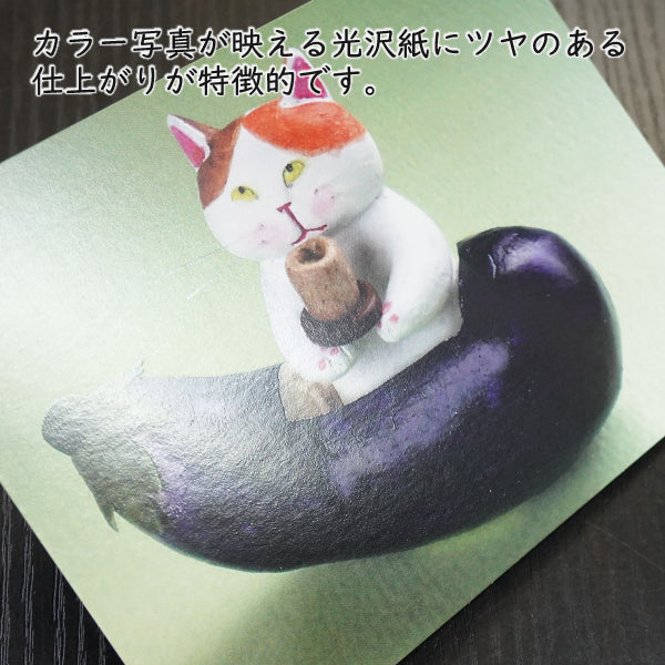 ポストカード 高橋理佐/猫粘土作家「おもてナス」105×150mm 動物 カラー写真