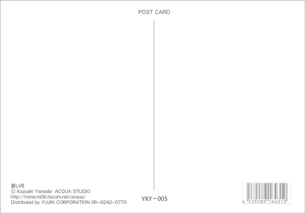 Postcard Kazuaki Yamada "Blue Moon" 105 x 150mm Picture book author illustrator Postcard