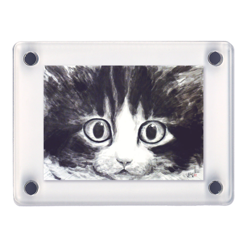 Acrylic Magnet Frame, Minoru Nakahama "Eyeball," Set of 2, 6x8cm, Ink Wash Cat Artist