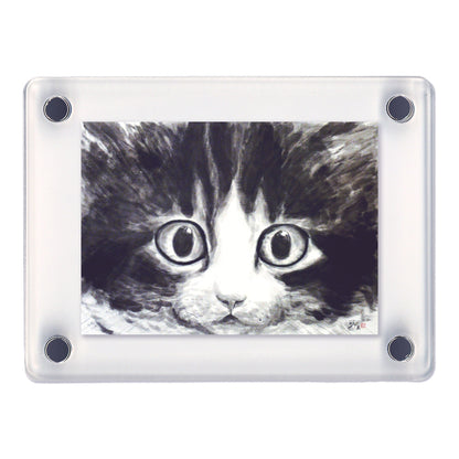 Acrylic Magnet Frame, Minoru Nakahama "Eyeball," Set of 2, 6x8cm, Ink Wash Cat Artist