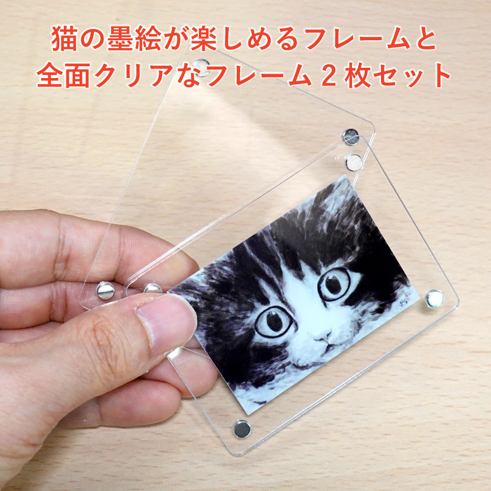 Acrylic Magnet Frame, Minoru Nakahama "Eyeball," Set of 2, 6x8cm, Ink Wash Cat Artist