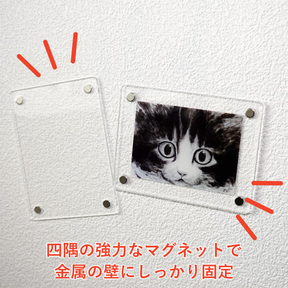 Acrylic Magnet Frame, Minoru Nakahama "Eyeball," Set of 2, 6x8cm, Ink Wash Cat Artist