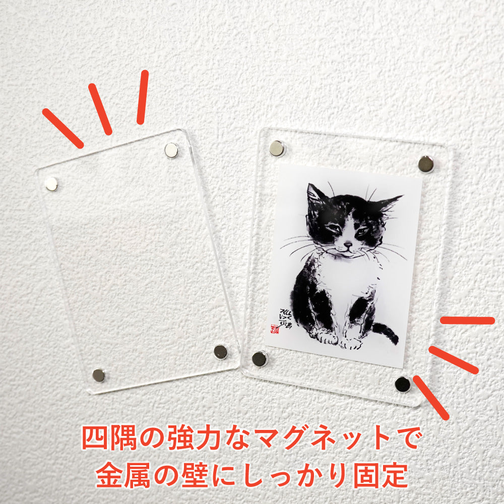 Acrylic Magnet Frame Minoru Nakahama "Chinmari Osawari" 2-Piece Set 6x8cm Sumi-e Cat Artist