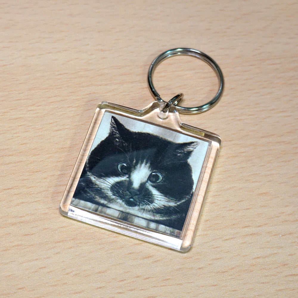 Acrylic Key Chain: Minoru Nakahama "Mackerel Pike" 4x4cm Keyring, Ink-wash Cat Artist