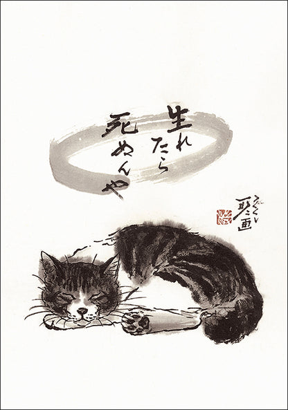 ポストカード6枚セット4 中浜稔 105×150mm 猫墨絵作家 アート 動物 淡路市立中浜稔猫美術館