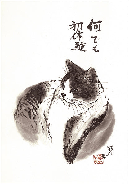 ポストカード6枚セット5 中浜稔 105×150mm 猫墨絵作家 アート 動物 淡路市立中浜稔猫美術館