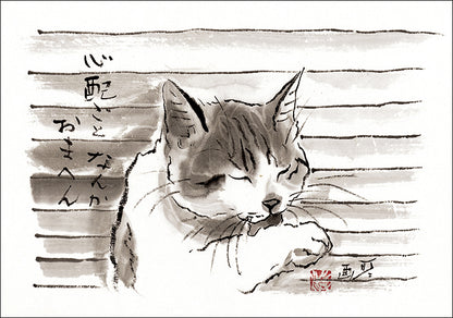 ポストカード6枚セット5 中浜稔 105×150mm 猫墨絵作家 アート 動物 淡路市立中浜稔猫美術館