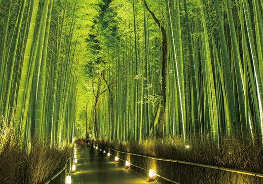 ポストカード 日本風景「京都 嵯峨野」105×150mm カラー写真 観光内 名所 郵便はがき