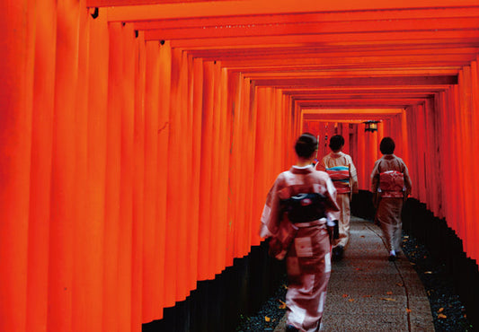 ポストカード 日本風景「伏見稲荷」105×150mm カラー写真 観光内 名所 郵便はがき
