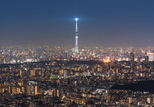 ポストカード 日本風景「東京の夜景・スカイツリー」105×150mm カラー写真 観光内 名所 郵便はがき
