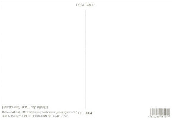 Postcard Risa Takahashi/Cat Clay Artist "Fruit on Head" 105 x 150 mm Animal Color Photo