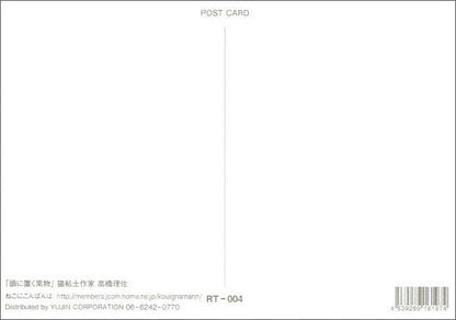 Postcard Risa Takahashi/Cat Clay Artist "Fruit on Head" 105 x 150 mm Animal Color Photo