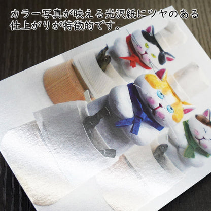 Postcard Risa Takahashi/Cat clay artist "Two (Tsu) Star Chef" 105 x 150 mm Animal Color photo