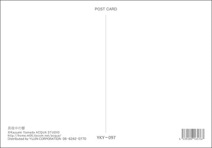 Postcard Kazuaki Yamada "Midnight Echo" 105x150mm Picture Book Author Illustrator Postal Card